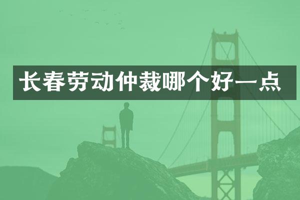 长春劳动仲裁哪个好一点