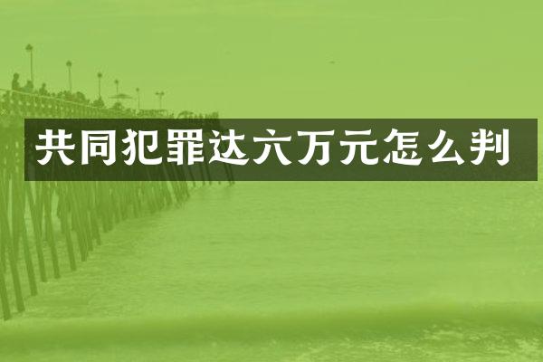 共同犯罪达六万元怎么判