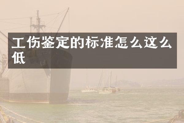 工伤鉴定的标准怎么这么低