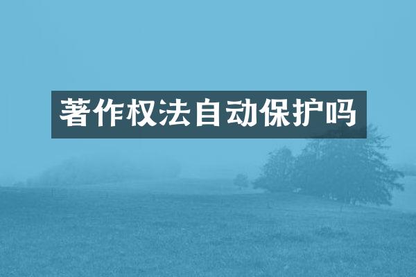 著作权法自动保护吗