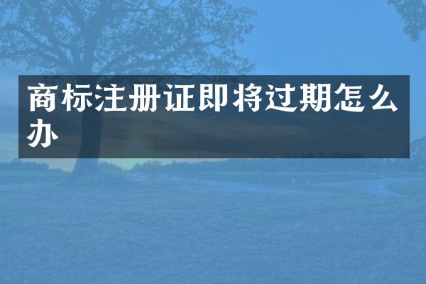 商标注册证即将过期怎么办