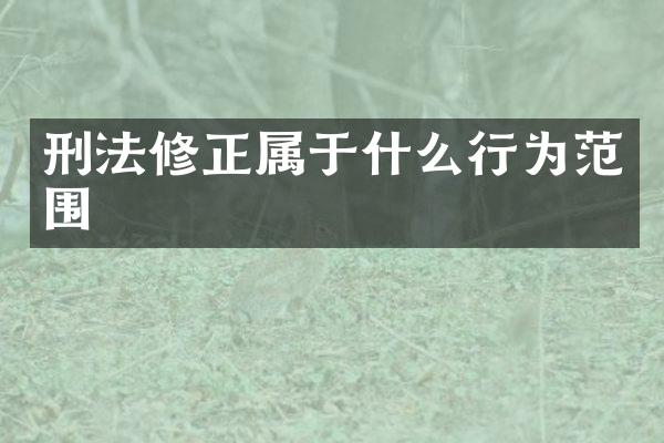 刑法修正属于什么行为范围