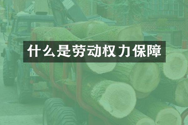 什么是劳动权力保障