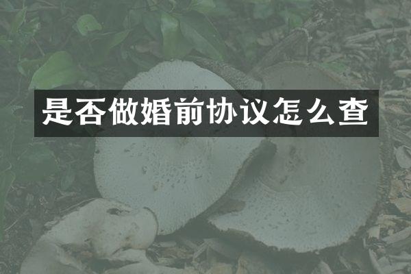 是否做婚前协议怎么查