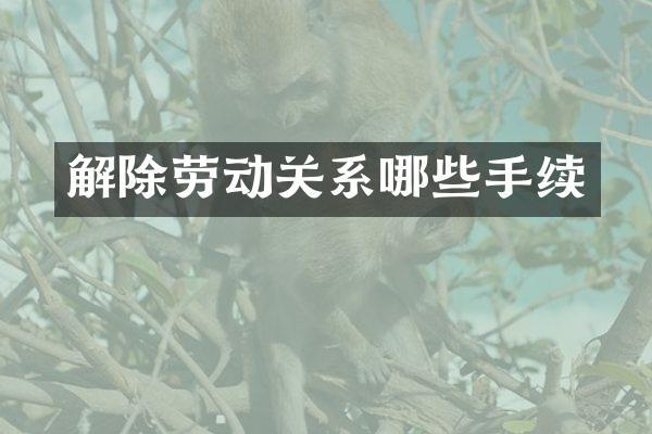解除劳动关系哪些手续
