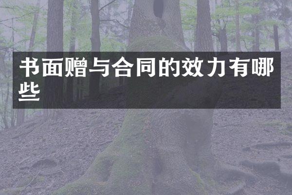 书面赠与合同的效力有哪些