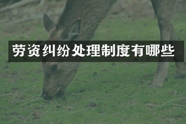 劳资纠纷处理制度有哪些