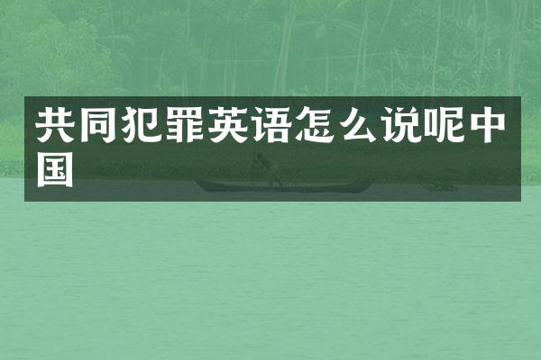 共同犯罪英语怎么说呢中国