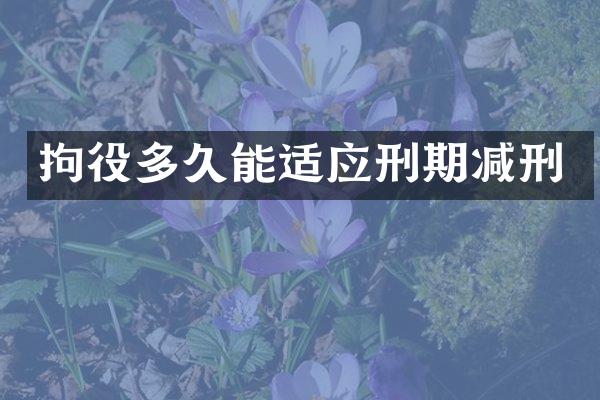 拘役多久能适应刑期减刑