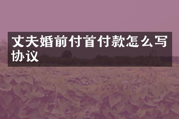 丈夫婚前付首付款怎么写协议