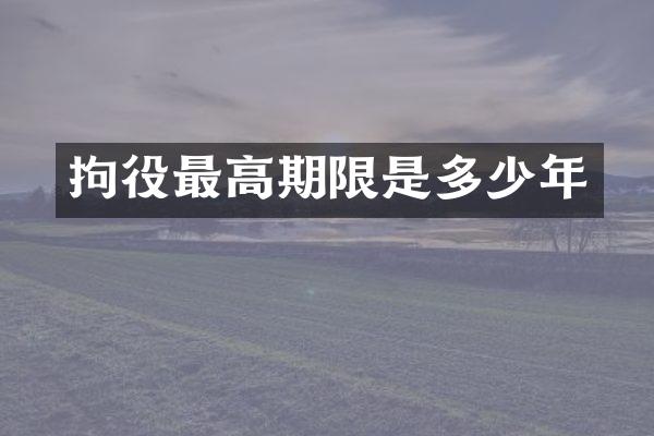 拘役最高期限是多少年