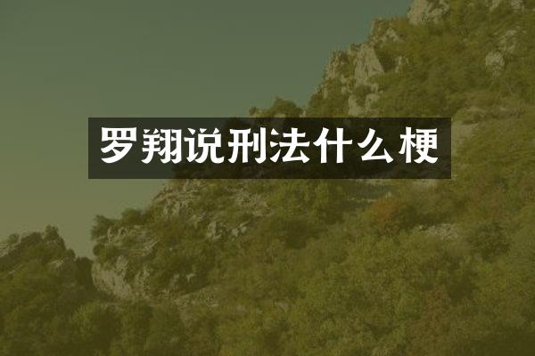 罗翔说刑法什么梗