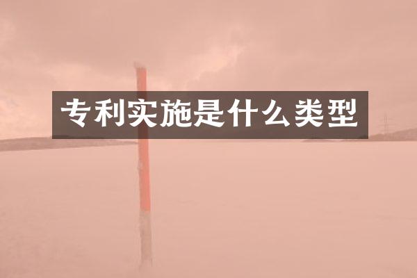 专利实施是什么类型