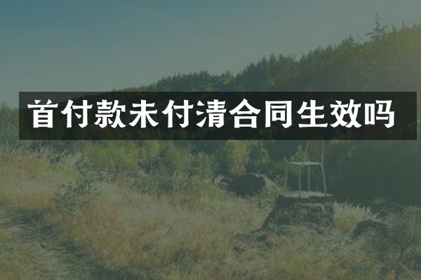 首付款未付清合同生效吗