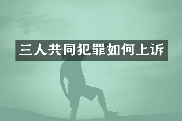 三人共同犯罪如何上诉