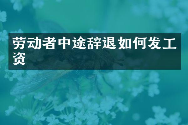 劳动者中途辞退如何发工资