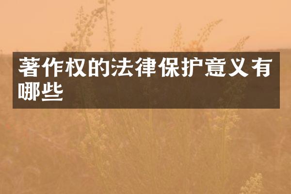 著作权的法律保护意义有哪些