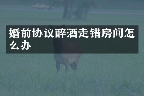 婚前协议醉酒走错房间怎么办