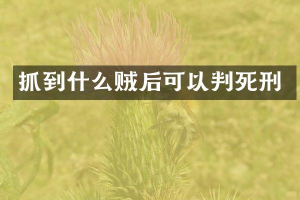 抓到什么贼后可以判死刑