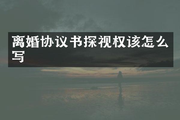 离婚协议书探视权该怎么写