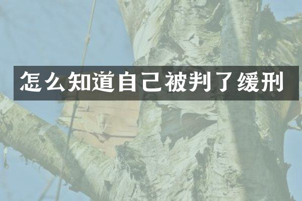 怎么知道自己被判了缓刑