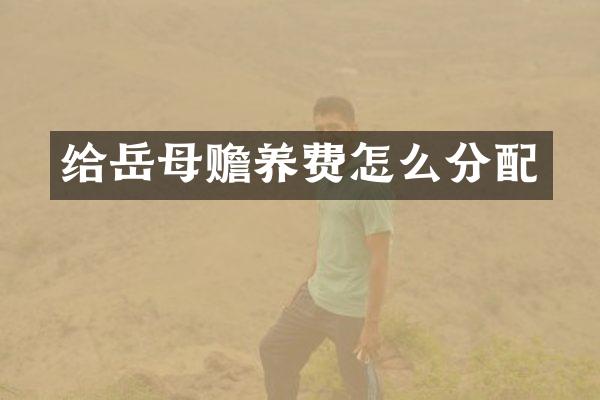 给岳母赡养费怎么分配