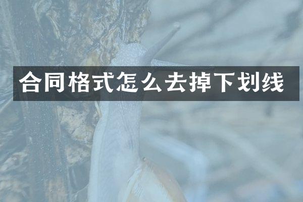 合同格式怎么去掉下划线