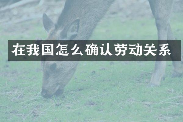 在我国怎么确认劳动关系