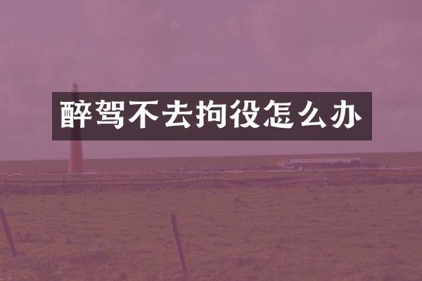 醉驾不去拘役怎么办