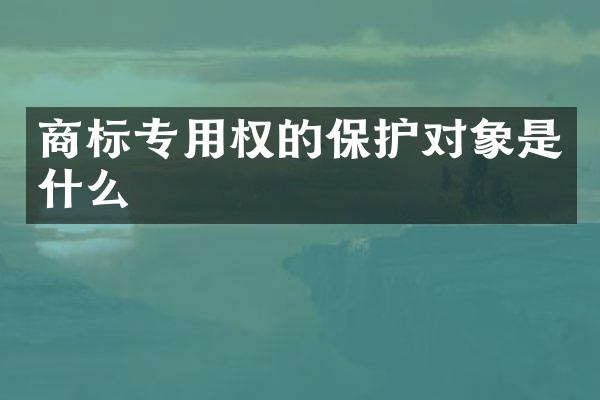 商标专用权的保护对象是什么