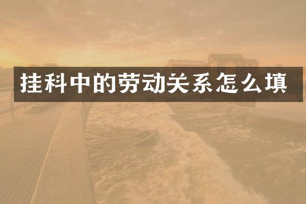 挂科中的劳动关系怎么填