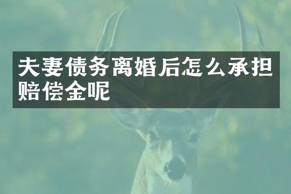 夫妻债务离婚后怎么承担赔偿金呢
