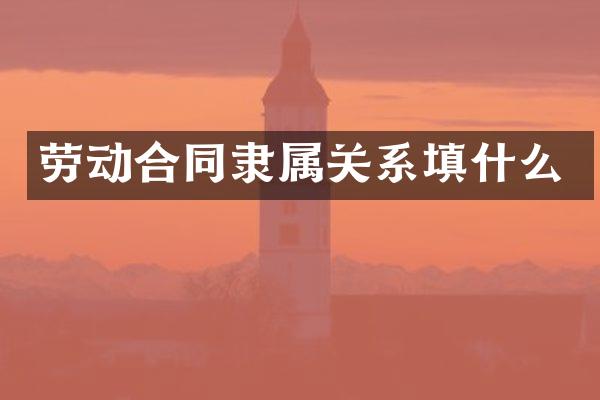 劳动合同隶属关系填什么