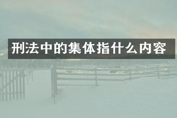 刑法中的集体指什么内容