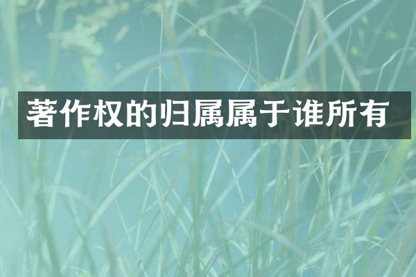 著作权的归属属于谁所有