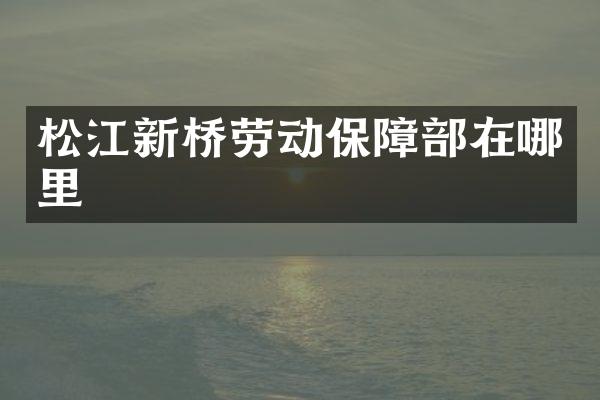 松江新桥劳动保障部在哪里