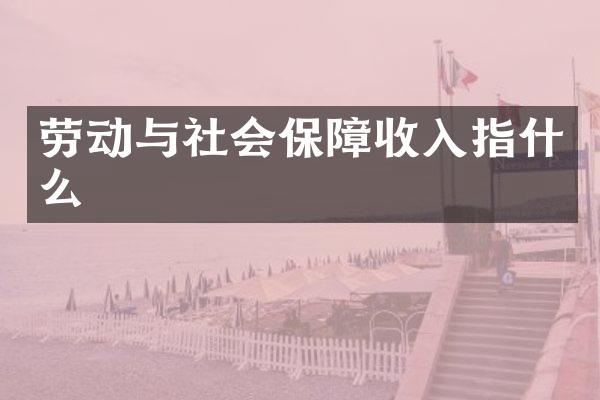 劳动与社会保障收入指什么