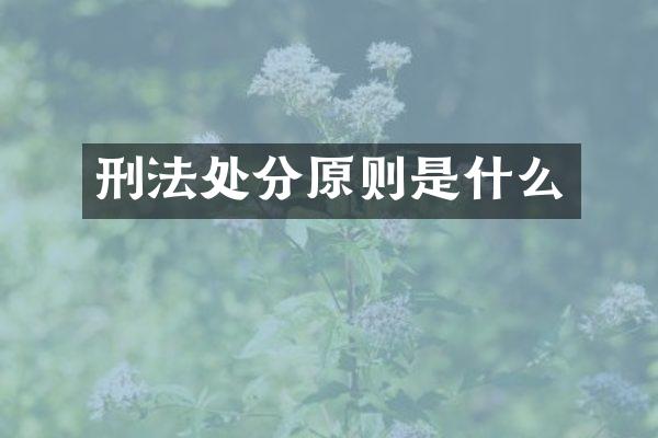 刑法处分原则是什么
