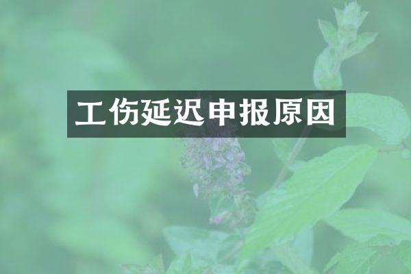 工伤延迟申报原因