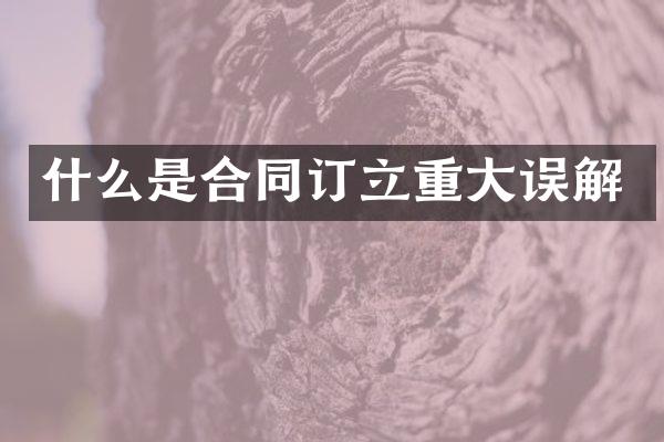 什么是合同订立重大误解