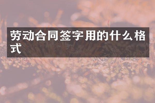 劳动合同签字用的什么格式