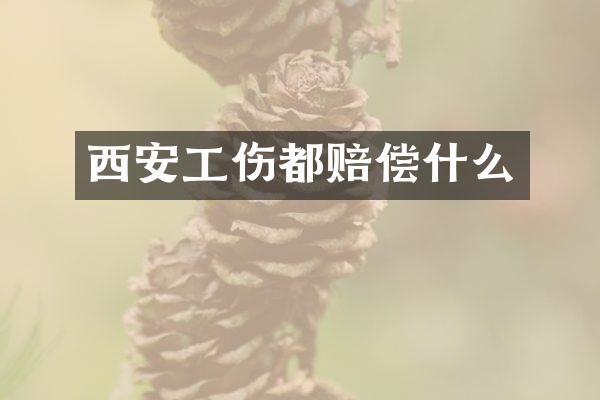 西安工伤都赔偿什么