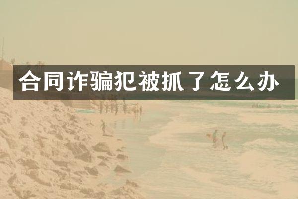 合同诈骗犯被抓了怎么办