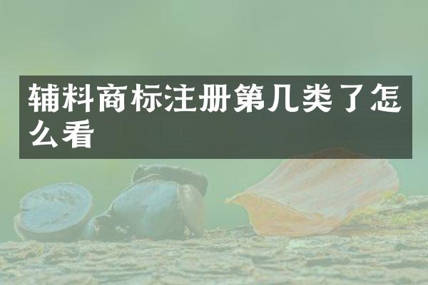 辅料商标注册第几类了怎么看