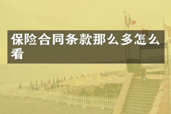 保险合同条款那么多怎么看