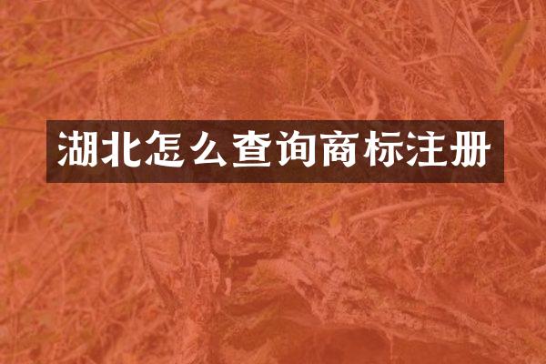湖北怎么查询商标注册