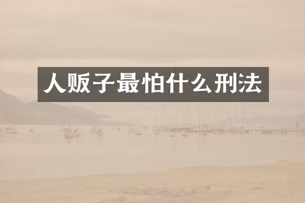 最怕什么刑法