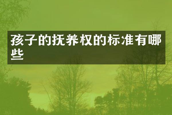 孩子的抚养权的标准有哪些