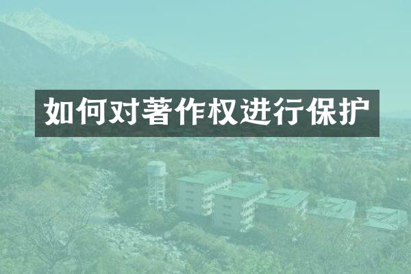 如何对著作权进行保护