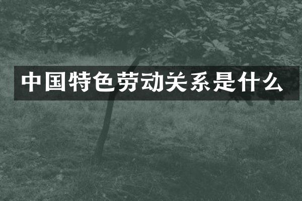 中国特色劳动关系是什么